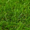 Artificial Grass 4.4'x32.8'/1.6 Green"