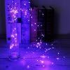 2Pcs LED String Lights 100LED Beads 32.8FT Copper Fairy Lights