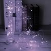 2Pcs LED String Lights 100LED Beads 32.8FT Copper Fairy Lights